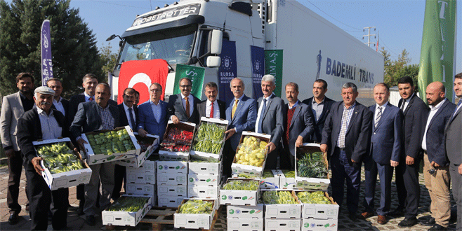 Yenişehir biberi Hollanda yolunda