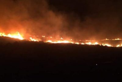 Bursa’da orman yangını!