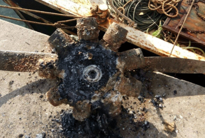 Balıkçıları şaşkına çeviren olay