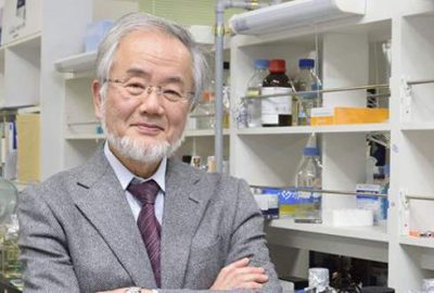 Nobel Tıp Ödülü, Japon bilim insanı Yoshinori Ohsumi'ye verildi. Ohsumi