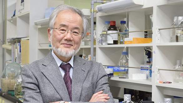 Nobel Tıp Ödülü Japonya’ya gitti