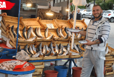 Palamut pazarların gözdesi