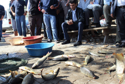 Bursa’da zıplamayan balığa para yok