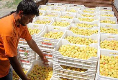 Rusya’dan Türk gıda ürünlerine yönelik ilk karar çıktı