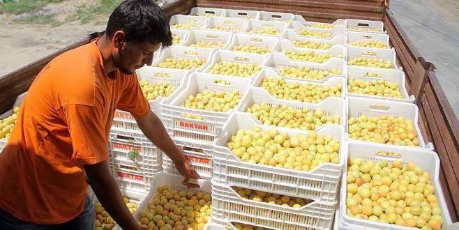 Rusya’dan Türk gıda ürünlerine yönelik ilk karar çıktı