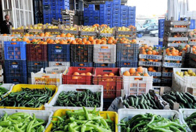 Rusya’ya ilk meyve grubu ulaşmak üzere