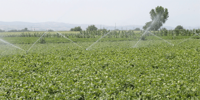 Bursa’da göletler sulu tarımı artırıyor