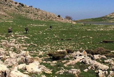 Siirt’te 3 terörist etkisiz hale getirildi