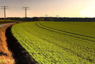 Kritik tarım ürünleri belli oldu