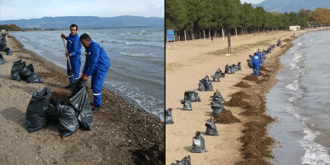 İznik Gölü sahilinde sezon sonu temizliği