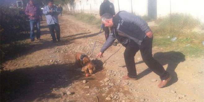 Kayıp Irmak için arama çalışmalarına tekrar başlandı
