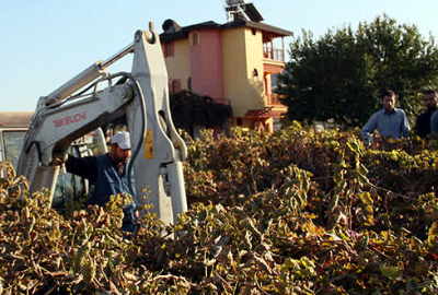 4 yaşındaki Irmak’ın cansız bedeni bulundu