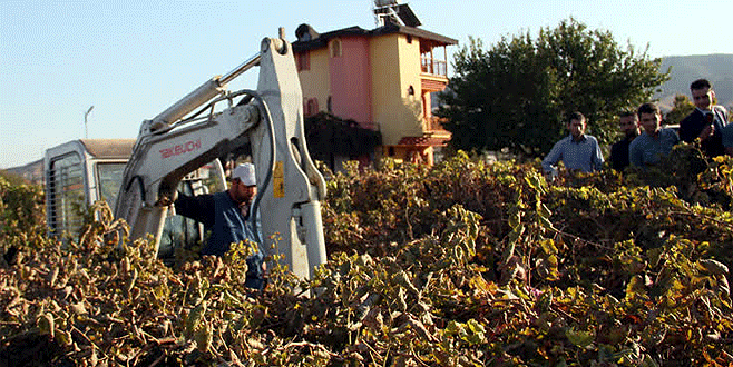 4 yaşındaki Irmak’ın cansız bedeni bulundu