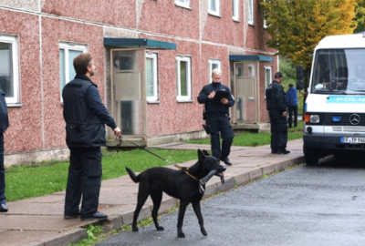 Beş eyalette terör operasyonu