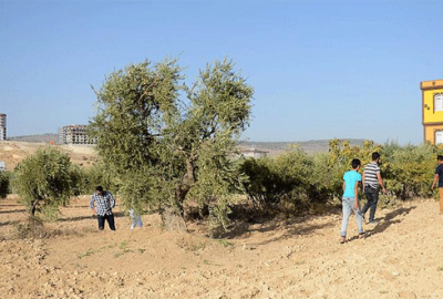 Kilis’e roket mermisi atıldı