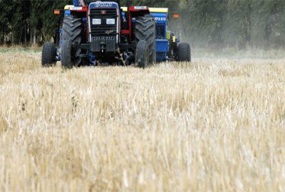 Çiftçilere 640 milyon liralık destek ödemesi yarın