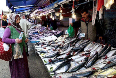 Palamutta ‘altın’ sezon