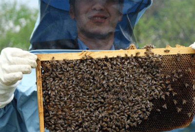 ‘Türkiye’nin balı dünyada marka olacak’