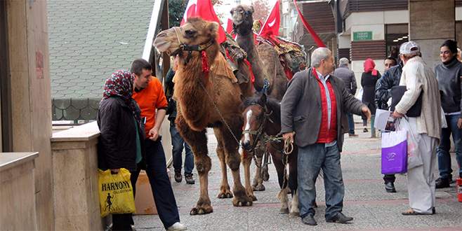 Bursa’daki Cumhuriyet Yürüyüşü’nde deve krizi