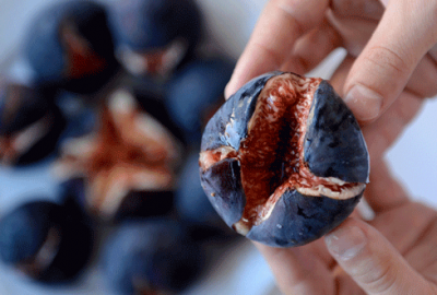 Bursa üretiyor 22 ülke tüketiyor