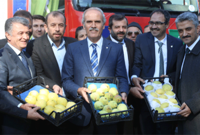 Bursa’dan Hollanda’ya armut ve ayva ihracatı başladı