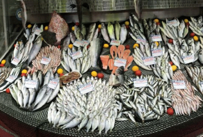 Çinekop bolluğu fiyatlara yansıdı