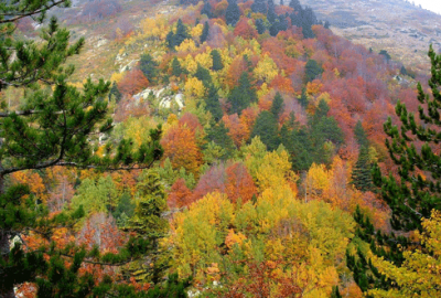 Uludağ’da sonbahar güzelliği