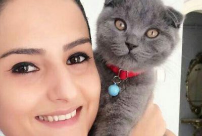 Entelektüel kedi günde 5 saat belgesel izliyor