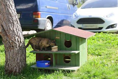 Yıldırım’da sokak hayvanları aç değil