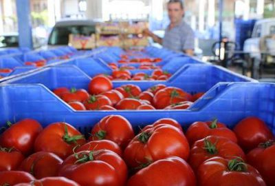Türk tarımcılara Rusya’dan şartlı ‘yeşil ışık’