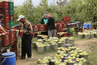 İstihdam projesine AB’den hibe