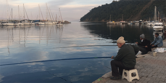Güneşi gören oltacılar Tirilye’ye akın etti