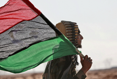 Maymun kabile kavgası başlattı: 16 ölü, 50 yaralı