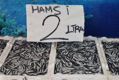 Fiyatı 2 liraya düştü!