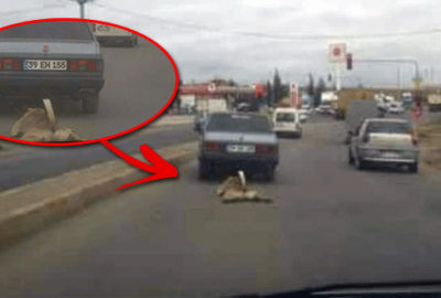 Otomobilin arkasına bağladığı köpeği sürükledi