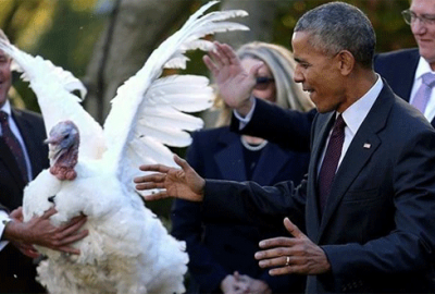 Obama, son kez iki hindiyi affetti