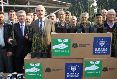 Bursa’da yaban mersini dönemi