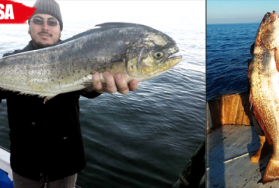 Marmara’da bir ilk! Balıkçılar da şok oldu…