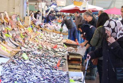 Balık bol ama fiyatlar yüksek