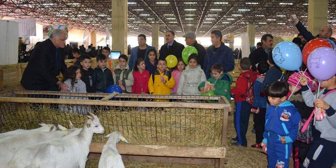 Mustafakemalpaşa’da renkli organizasyon