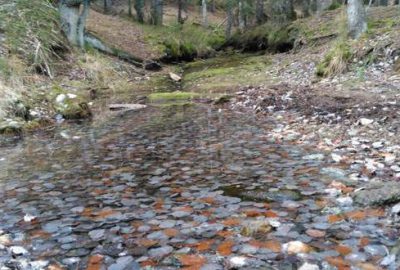 Uludağ’da kar yağışı öncesi keyifli zirve yürüyüşü!