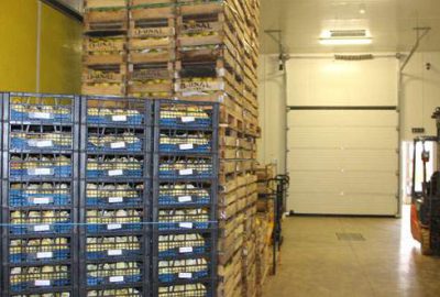 İhracat meyveleri depolarda çürüyor