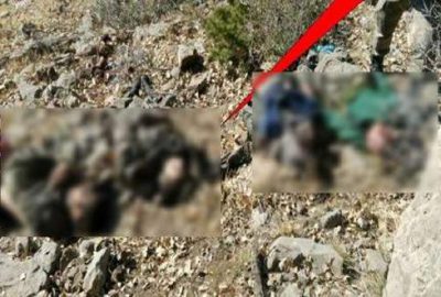 Cudi Dağı’nda 14 terörist etkisiz hale getirildi