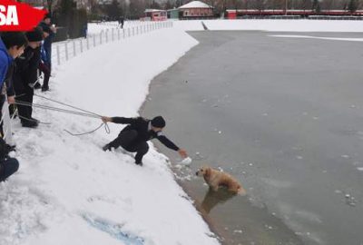 Buz tutan gölete düşen köpeği kurtarma seferberliği