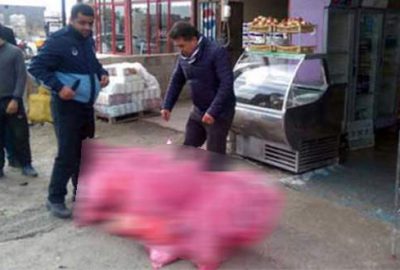 Lokantada kedi eti şoku!