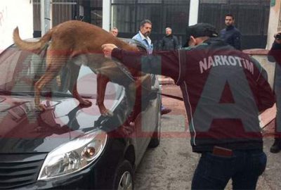 Bursa’da 2 bin polisle uyuşturucu operasyonu!