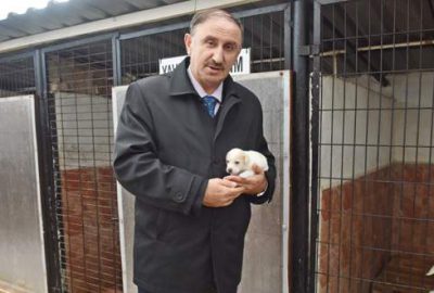 Sokak hayvanlarına sıcak yuva