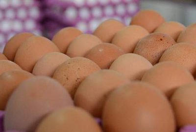 Kahverengi yumurtanın fiyatı katlandı