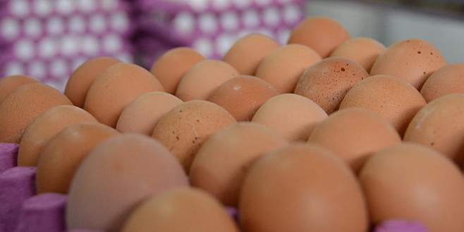Kahverengi yumurtanın fiyatı katlandı