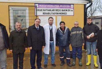 ‘Sokak hayvanlarına şefkat eli uzatıyoruz’